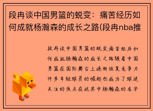 段冉谈中国男篮的蜕变：痛苦经历如何成就杨瀚森的成长之路(段冉nba推荐)